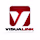 VISUALINK logo