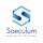 Saeculum Solutions Pvt. Ltd. logo