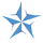 BlueStars logo