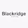 Blackridge Capital logo