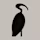 Studio Mauro logo