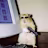 Rajgor's avatar