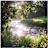 Syeda Aimal's avatar