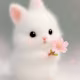 Anika's avatar