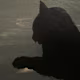 Kiona's avatar