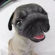 Facundo's avatar