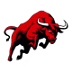 Bull's avatar