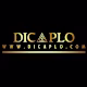 DICAPLO's avatar