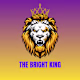 Bright Qings  logo
