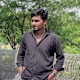 palash's avatar