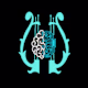 North Encps's avatar
