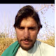 Shafiq 's avatar