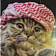 Jubran's avatar