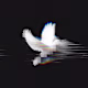 Unidentified's avatar