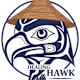 Healing Hawk's avatar