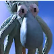 Rayfan's avatar