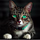 AKBAR's avatar