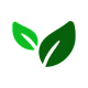 Silicon's avatar