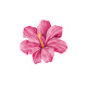 Sadia's avatar