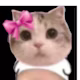 Balavignesh's avatar