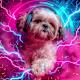 PONTA's avatar