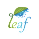 Team's avatar