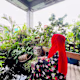 Sumaiya's avatar