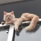 Mr's avatar