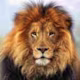 Marek's avatar