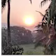 Bhakti's avatar