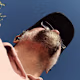 Andre's avatar