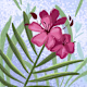 Enas's avatar