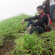 Mohd's avatar