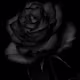 Ali's avatar