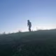 Liviu's avatar