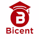 Bicent's avatar