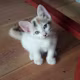 Lawma's avatar