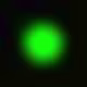 Noname's avatar