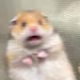 Aisel's avatar