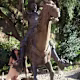 Montse's avatar