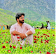 Hikmat's avatar