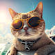 Shivam's avatar