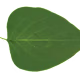OUALID's avatar