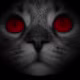 Đình Phước's avatar