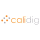 Calidig's avatar