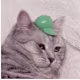 Hazem's avatar