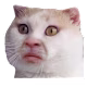 Hanna's avatar