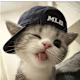 Ahmad 's avatar