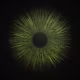 EYE's avatar