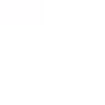 Galt Holding LLC logo